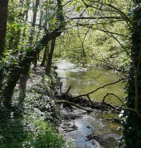 River Frome